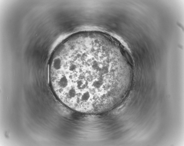 X0000093251175200710241309