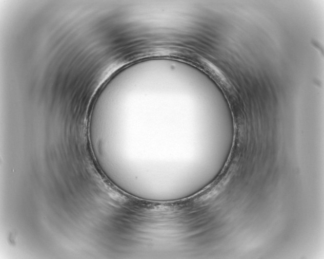 X0000093251178200710241309