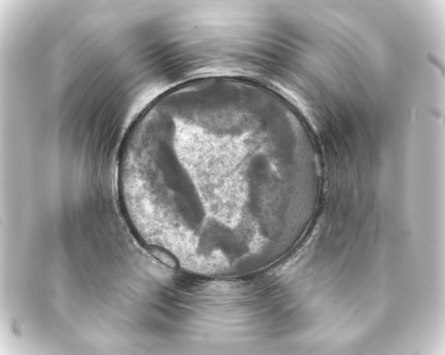 X0000093251179200710241309