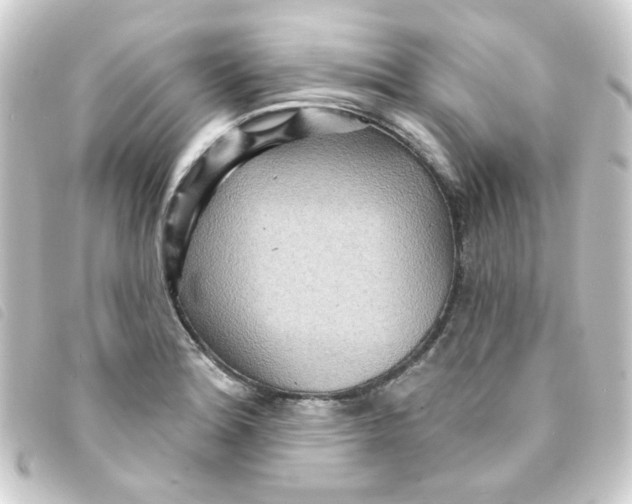 X0000093251180200710241309