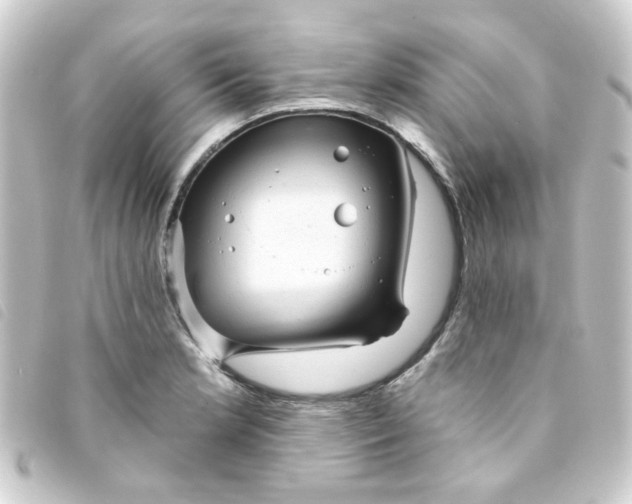 X0000093251181200710241309