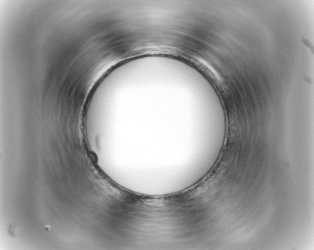 X0000093251182200710241309