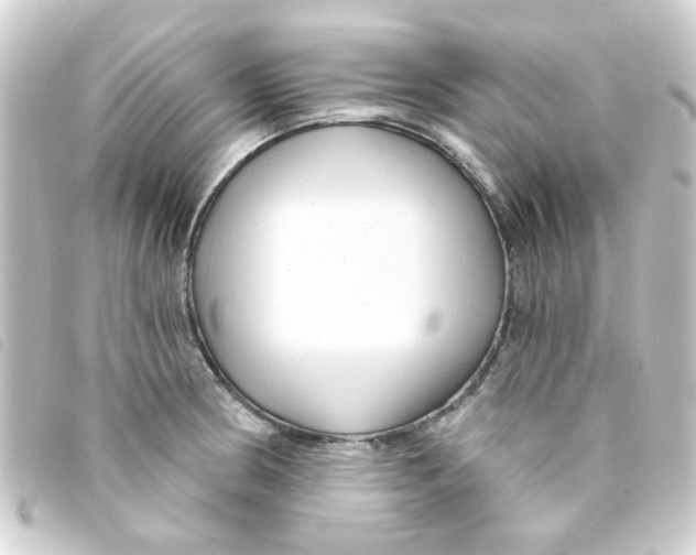 X0000093251186200710241308