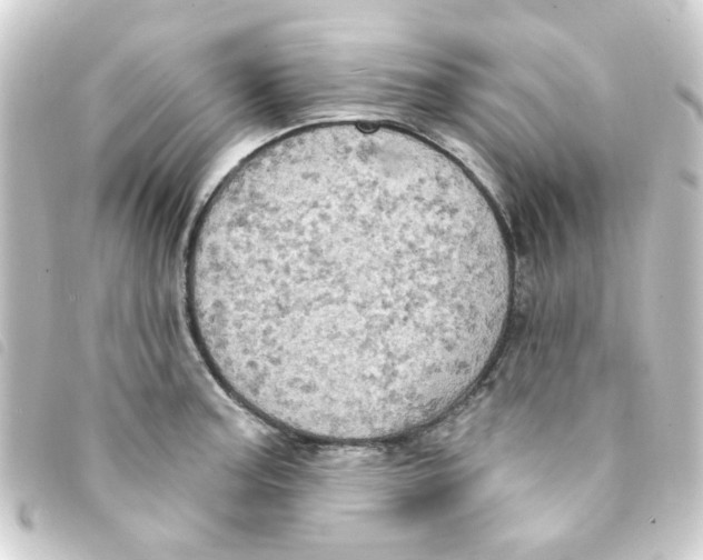 X0000093251187200710241308