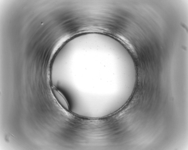 X0000093251188200710241308