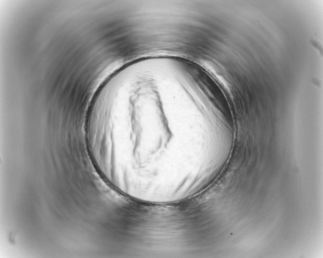 X0000093251189200710241308