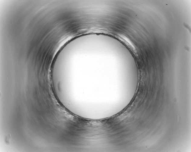 X0000093251190200710241308