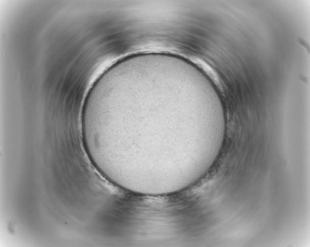 X0000093251191200710241308