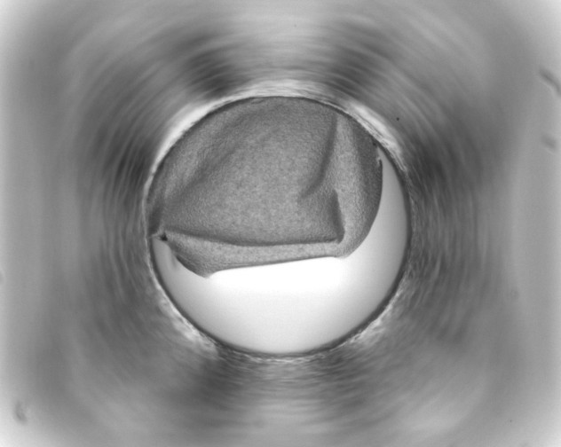 X0000093251192200710241308