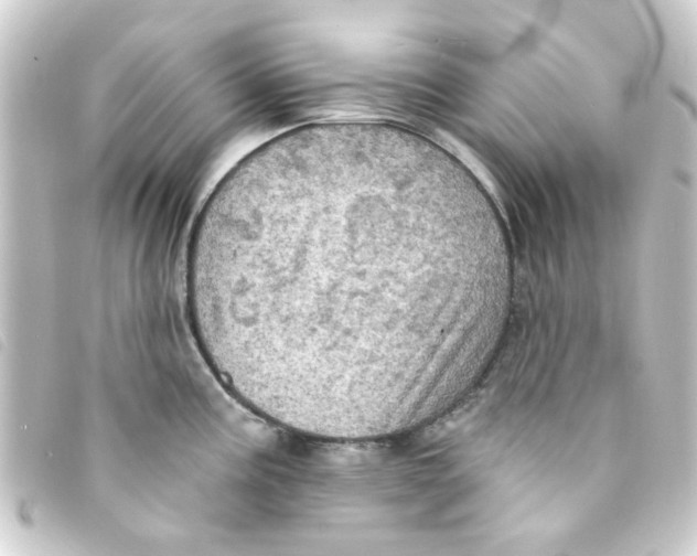 X0000093251195200710241308