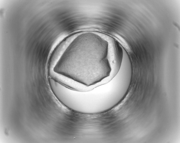 X0000093251196200710241308