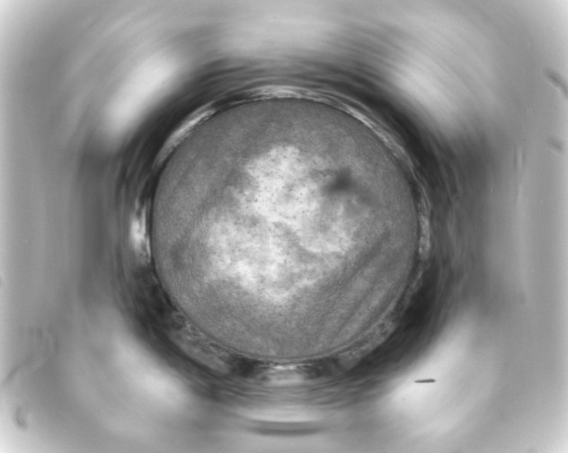 X0000093251198200710241308