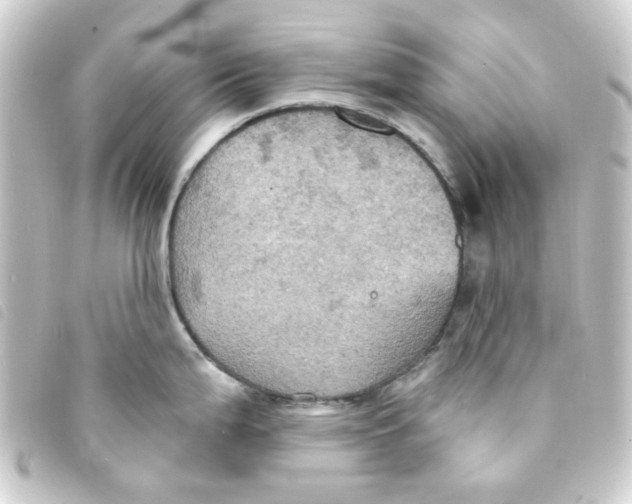 X0000093251199200710241308