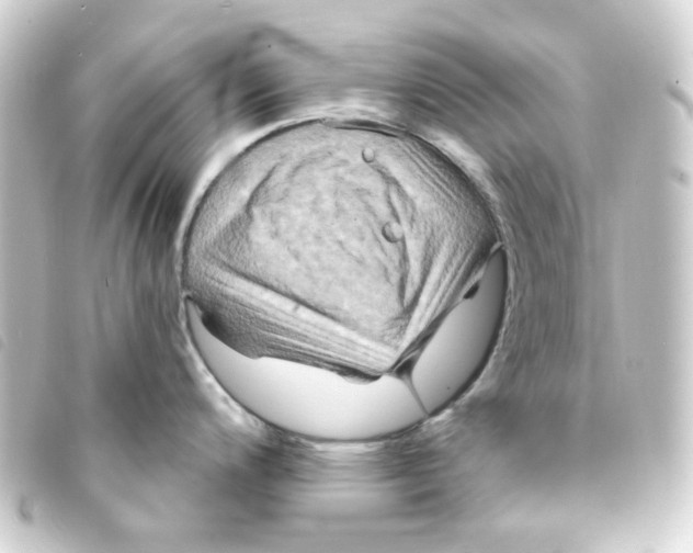 X0000093251200200710241308