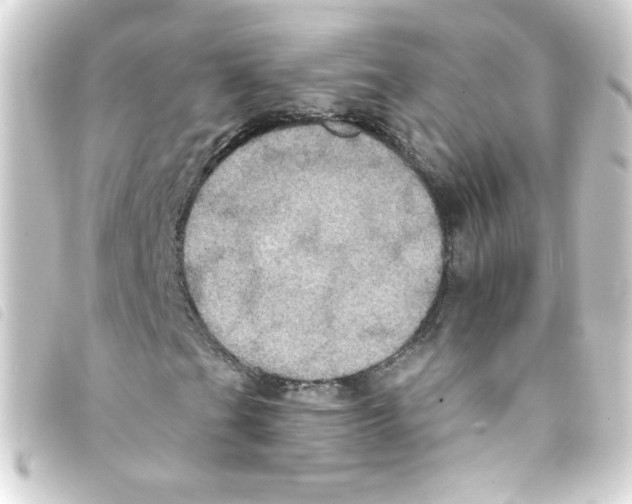 X0000093251201200710241308