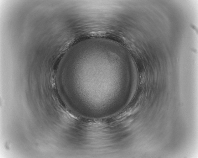 X0000093251202200710241308