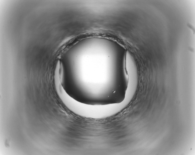 X0000093251206200710241308