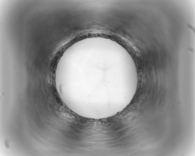 X0000093251207200710241308