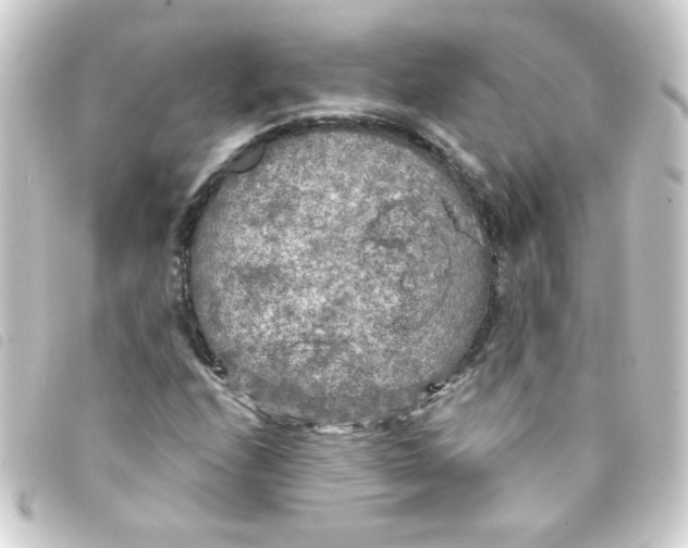 X0000093251208200710241308