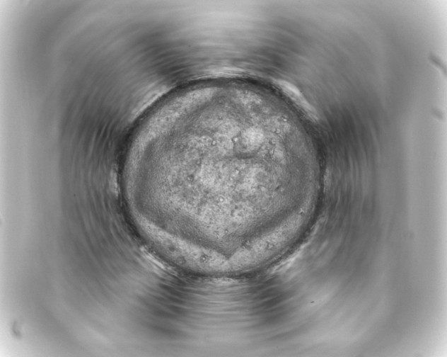 X0000093251209200710241308
