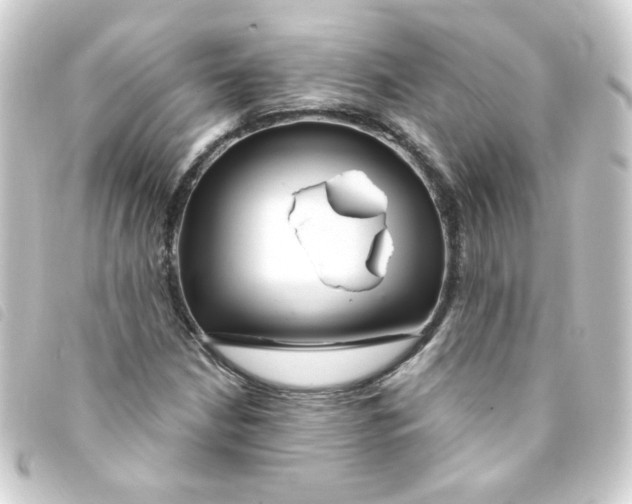 X0000093251210200710241308