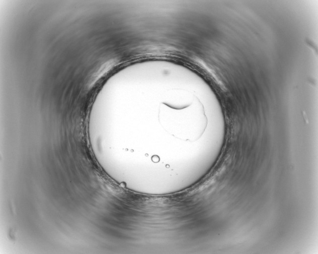 X0000093251211200710241308