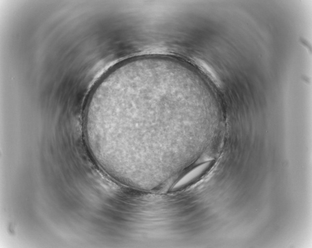 X0000093251212200710241308