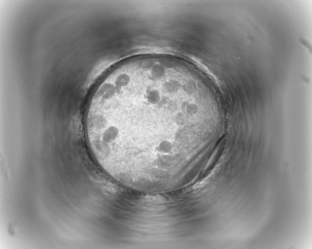 X0000093251215200710241308