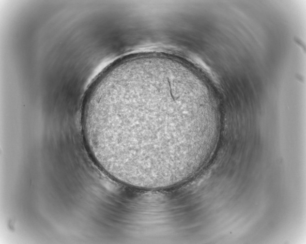 X0000093251216200710241308