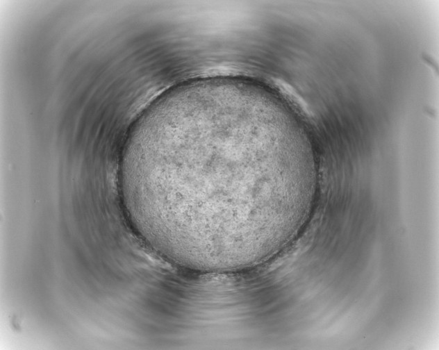 X0000093251217200710241308