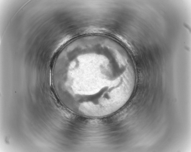 X0000093251219200710241308