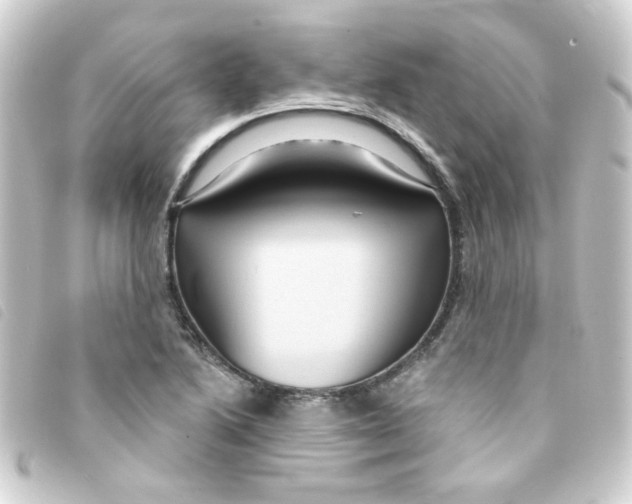 X0000093251222200710241308