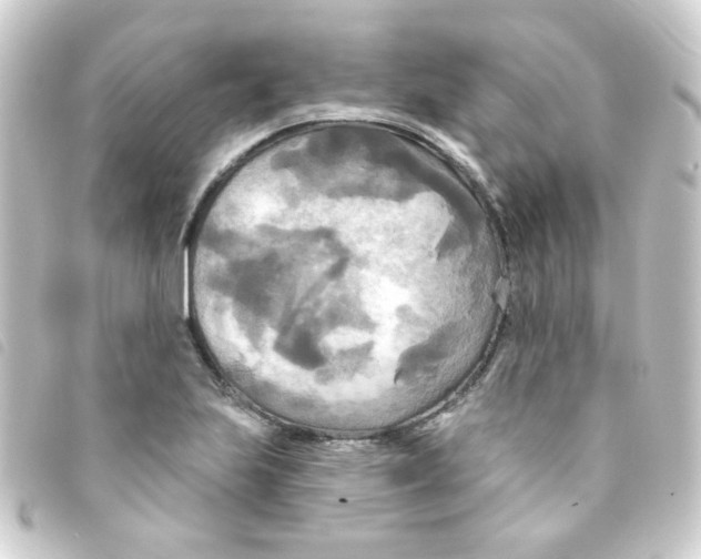 X0000093251223200710241308