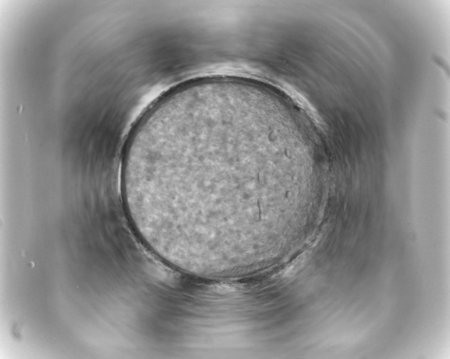 X0000093251224200710241308