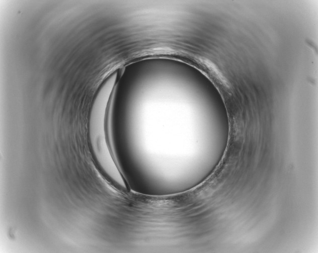 X0000093251225200710241308