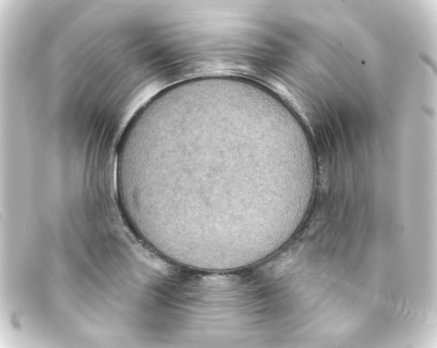 X0000093251227200710241308