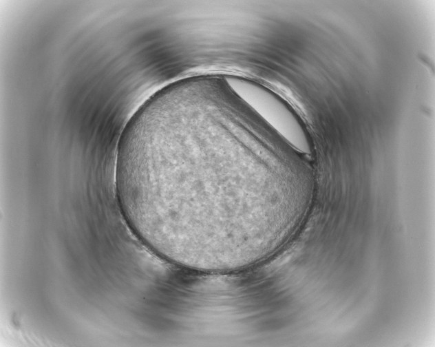 X0000093251228200710241308