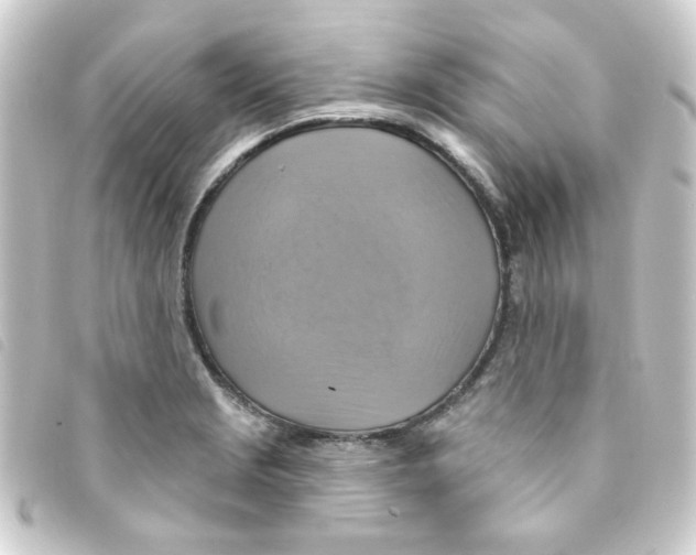 X0000093251229200710241308