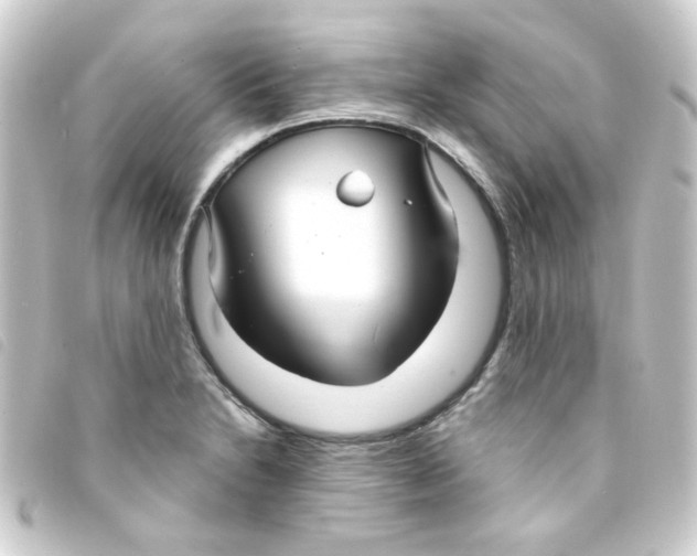 X0000093251230200710241308