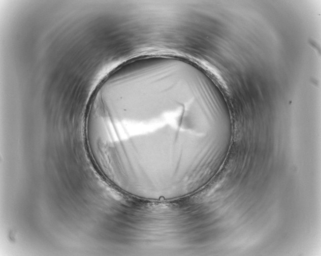 X0000093251231200710241308