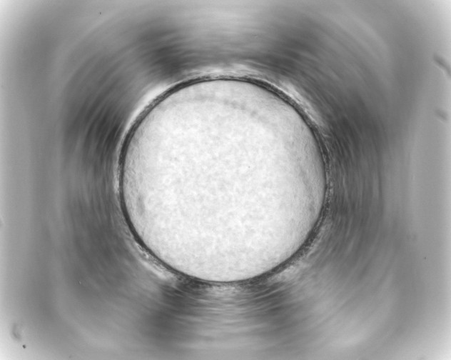 X0000093251232200710241308