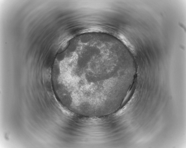 X0000093251233200710241308