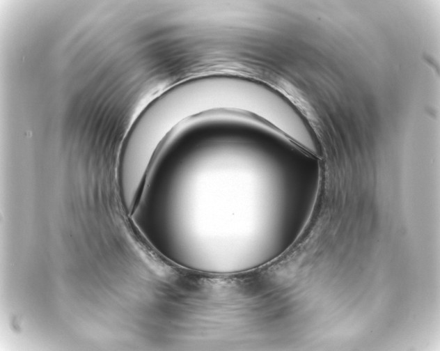 X0000093251234200710241308