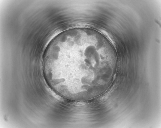 X0000093251235200710241308