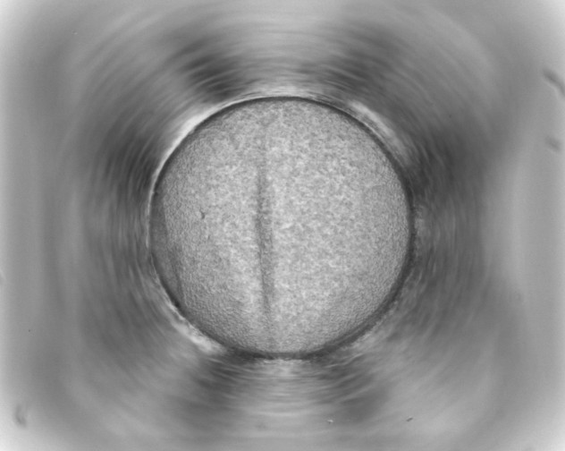 X0000093251236200710241308