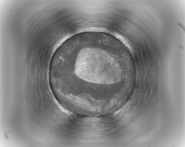 X0000093251237200710241308