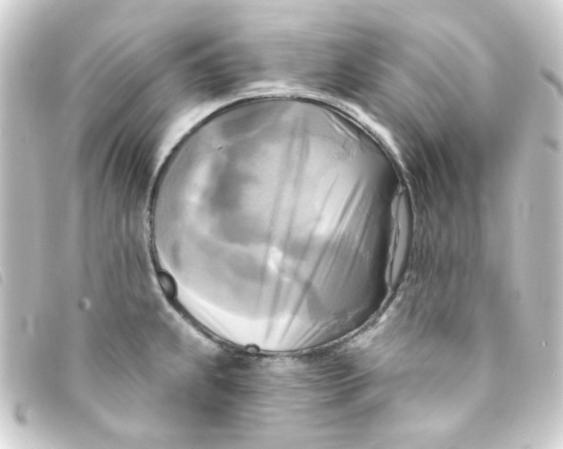 X0000093251239200710241308