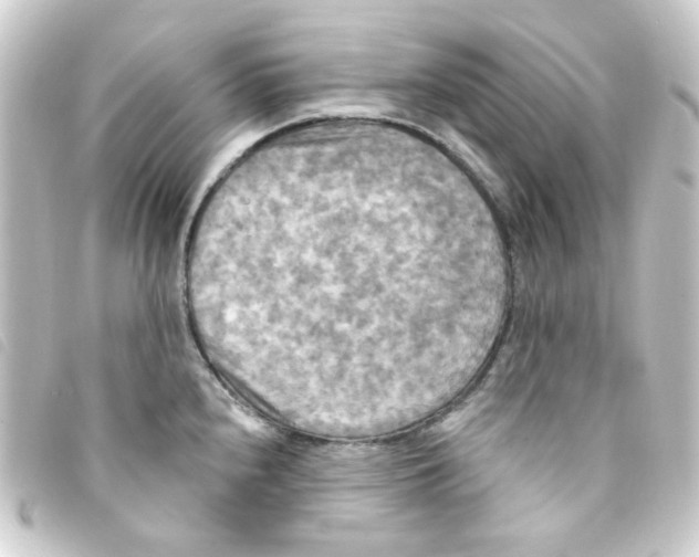 X0000093251240200710241308