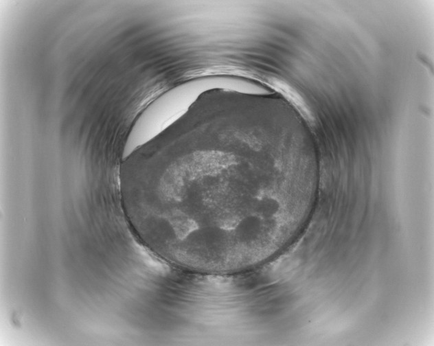 X0000093251241200710241308