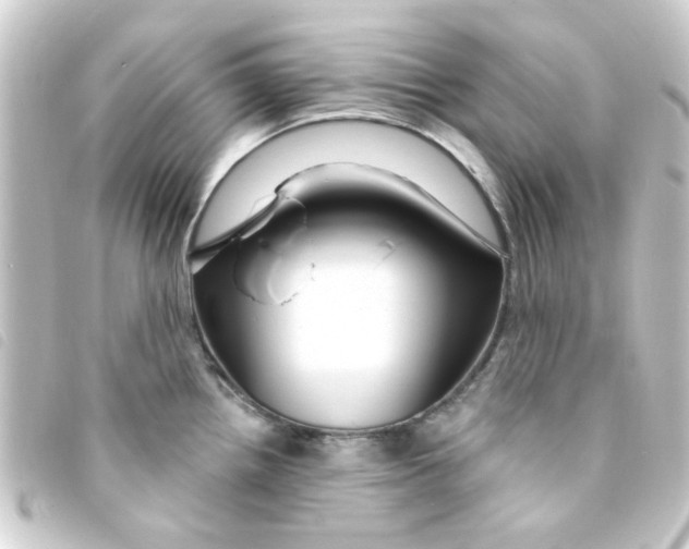 X0000093251242200710241308